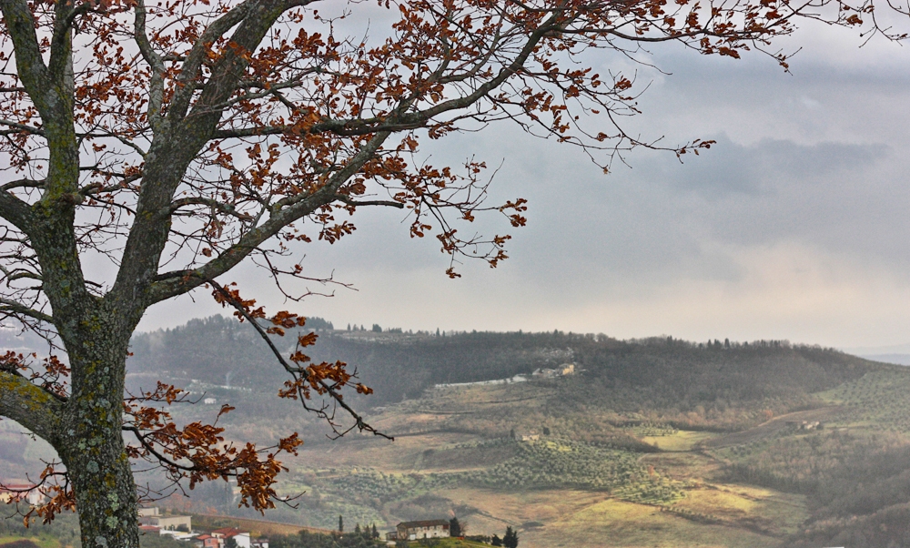 Passo della Consuma, the corridor between