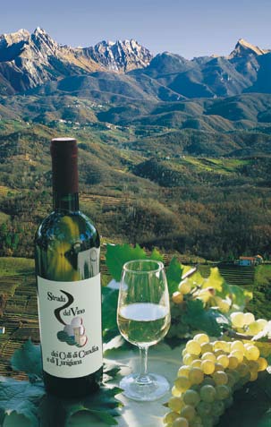 The Wine Trail of the Hills of Candia and of Lunigiana Strada