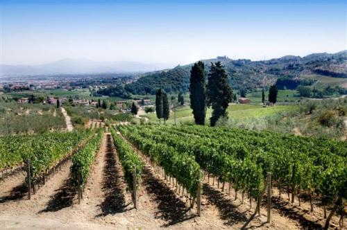 Carmignano Wine and Typical Flavours of Prato Trail - Strada dei Vini ...