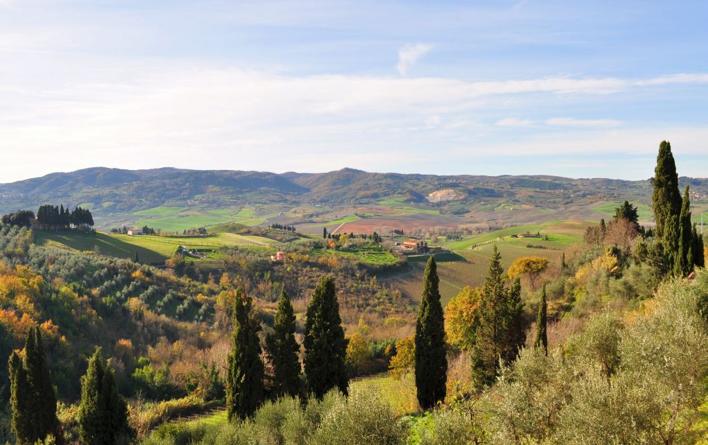 Terricciola, a matter of Etruscans and wine | Tuscany Holiday rent ...